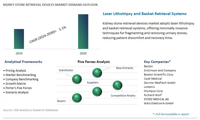 Kidney Stone Retrieval Devices Industry- Market Size, Share, Trends, Growth Outlook